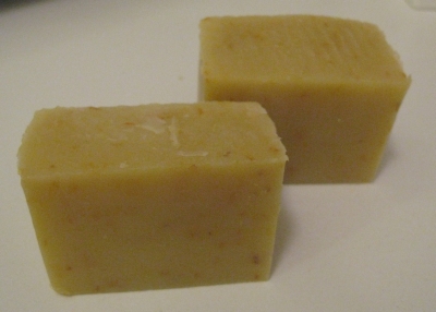 Calendula1.jpg